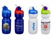 SR1004 - WALTER BOTTLE 600ML